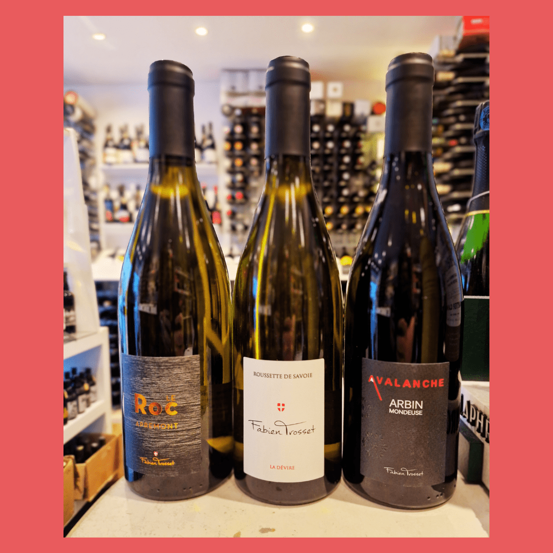 Fabien Trosset, Savoie